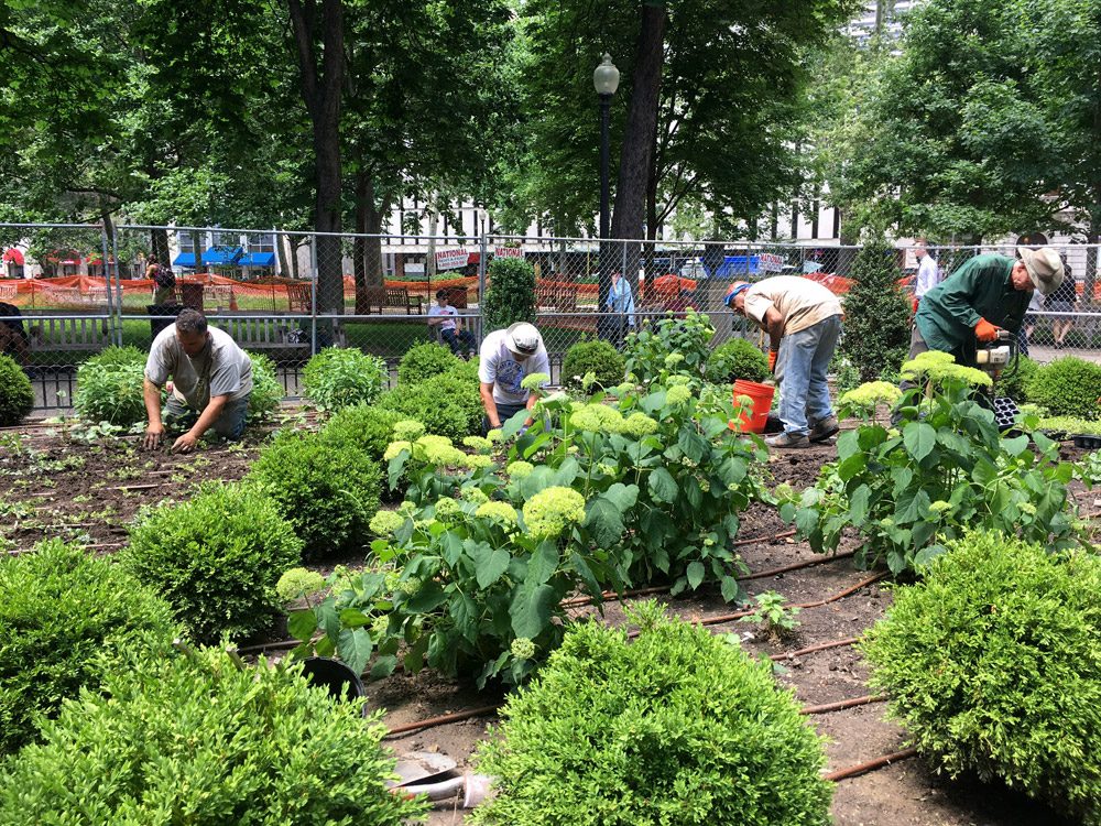 Fine Garden Creations gardeners planting the beds at Rittenhouse Square