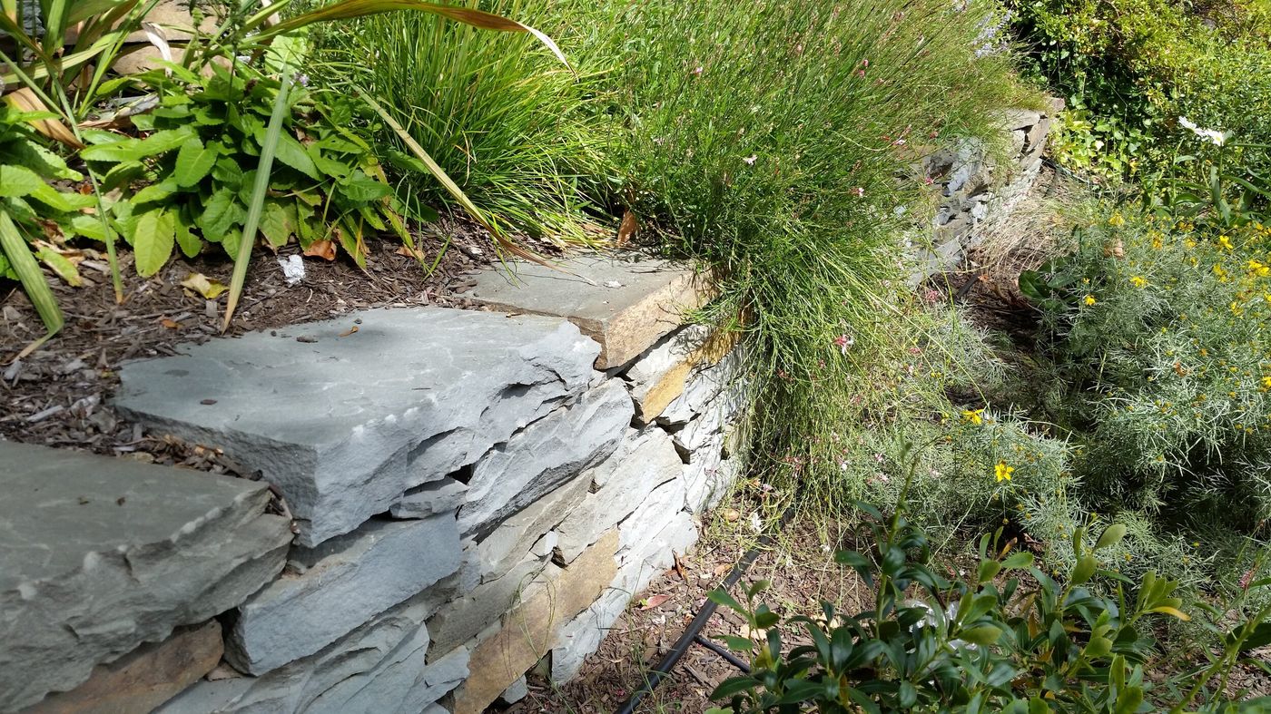 Dry-stacked stone retaining wall woven with grasses and plantings